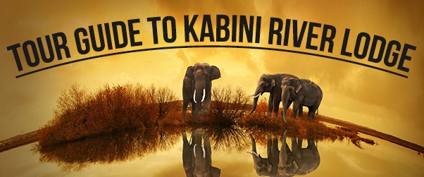 Kabini River Lodge - SkywayTour