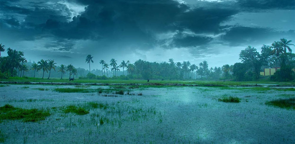 Romantic Destinations to visit during monsoons in South India