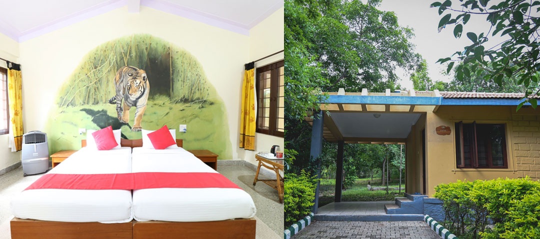 Bandipur Safari Lodge 