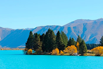 Wonderful Southern New Zealand