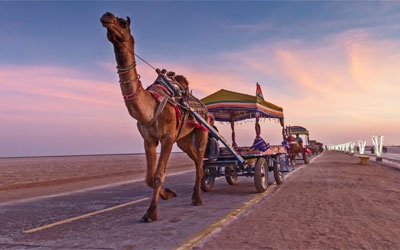 Rann Utsav Season