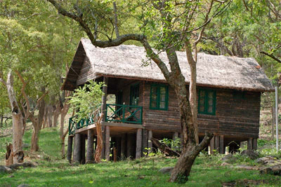 Jungle Lodges and Resorts