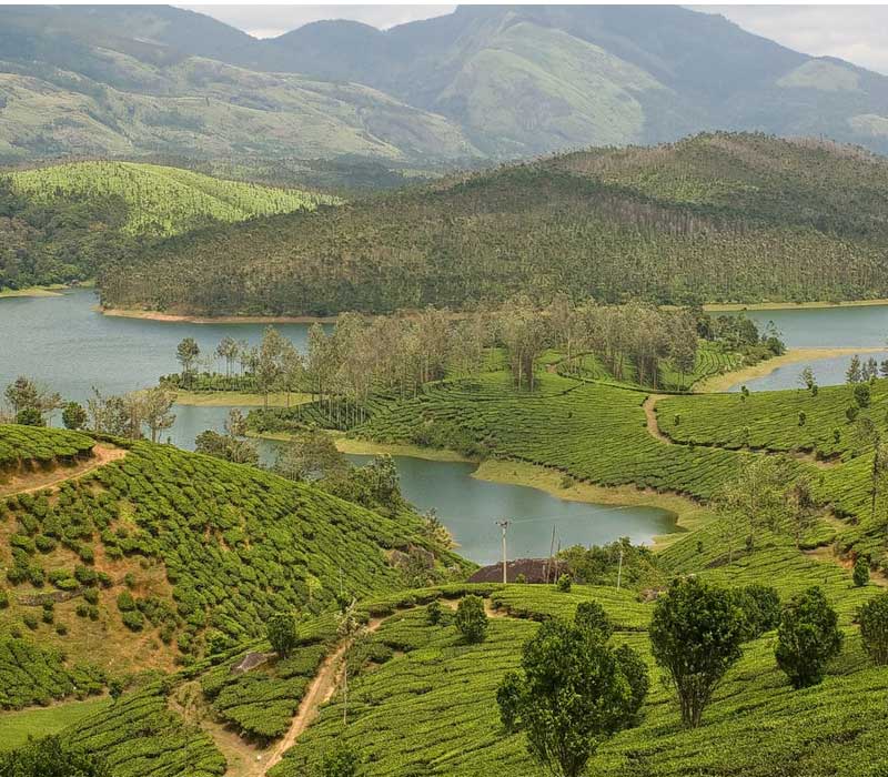 Yelagiri